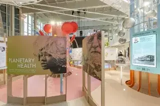 Planetary Health in München: Ausstellung am 30. Juli