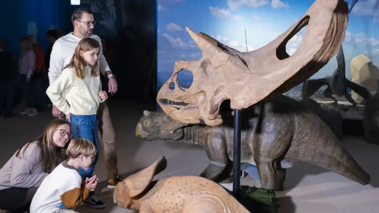 Eine Familie betrachtet interessiert die fossilen Schädel und Modelle von Dinosauriern in einem Museum.
