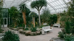 Sukkulenten in einem Gewächshaus mit weißen Holzbänken im Botanischen Garten München.