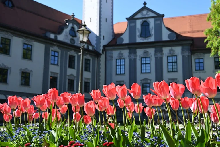 Augsburg am 8. August: Das Friedensfest und seine Folgen für den Alltag