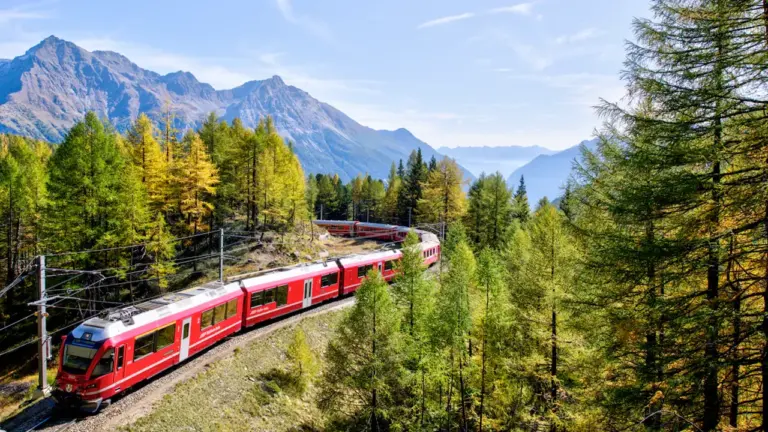 Moderner roter Regionalzug fährt durch eine herbstliche Waldlandschaft in der Schweiz.