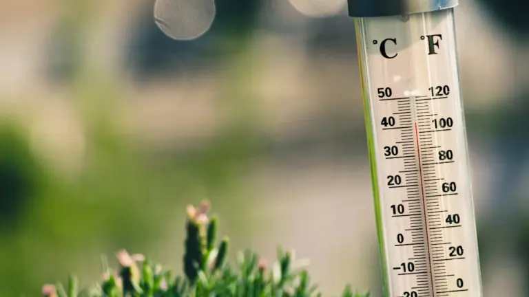 DWD: Erreicht eine Referenzstadt bis 31. August 30 Grad?
