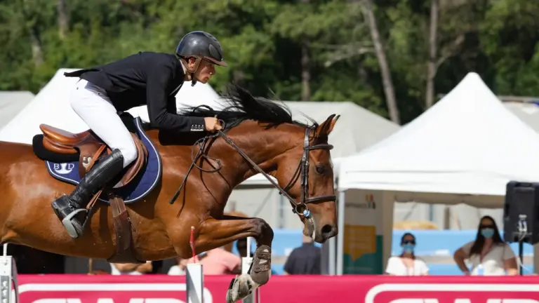 FEI World Championships in Aachen: Reit-WM im August