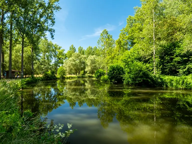 Frankfurt: Weiher in Ludwig-Erhard-Anlage bleibt vorerst abgesperrt