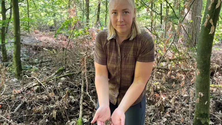 Eine blonde Frau im Wald hält einige braune Baumrindenstücke in ihren geöffneten Händen.
