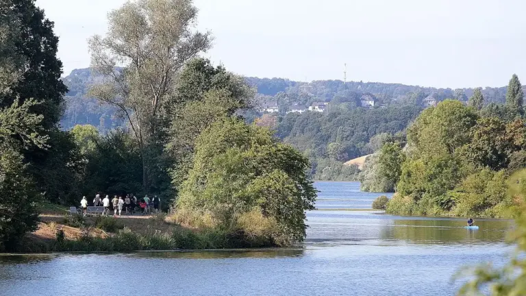 Eine Gruppe von Menschen geht am bewaldeten Ufer eines Sees entlang bei sonnigem Wetter.