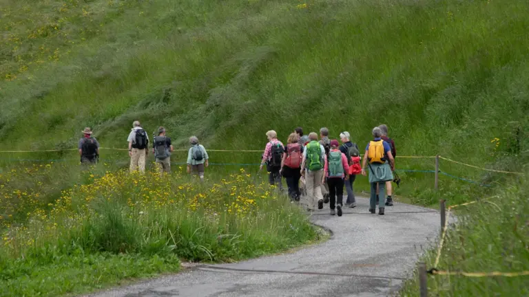 Eine Gruppe von Menschen wandert gemeinsam auf einem malerischen Weg durch eine grüne Landschaft.