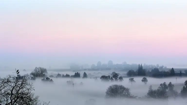 Malerische neblige Landschaft mit Bäumen im Vordergrund an einem friedlichen Morgen.