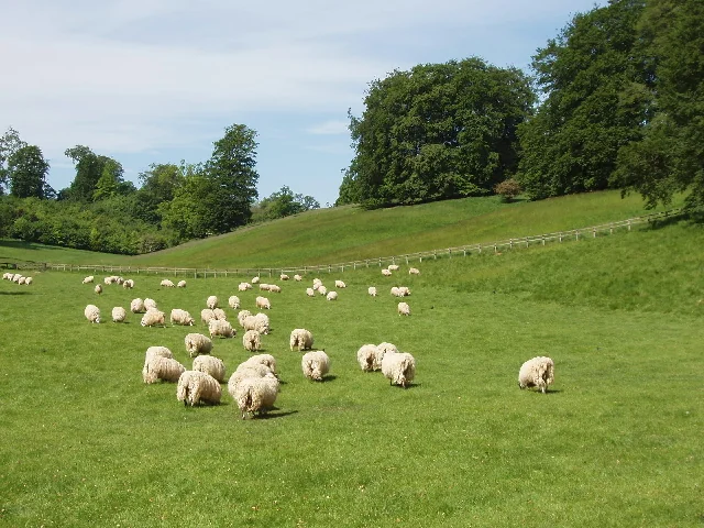 Park des Blenheim-Anwesens