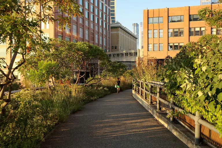High Line Park in New York