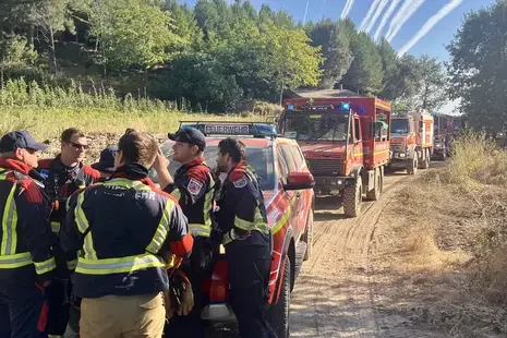 Waldbrand bedroht Ortsteil: Bonner Kräfte greifen ein