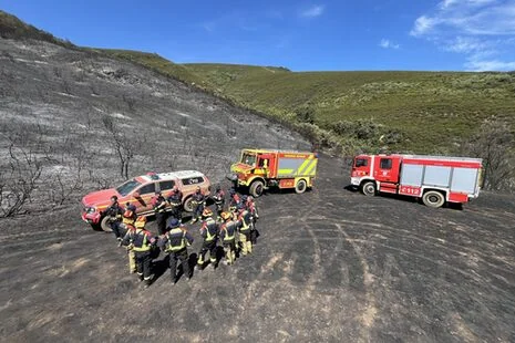 Waldbrand bedroht Ortsteil: Bonner Kräfte greifen ein