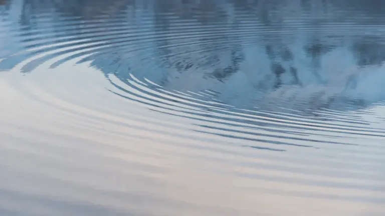 Warum wir von Wasser träumen: Psychologie und Kultur