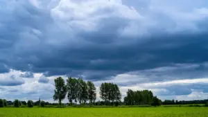Dramatische Gewitterwolken über einer grünen Wiese als Vorbote der Wetterwende.