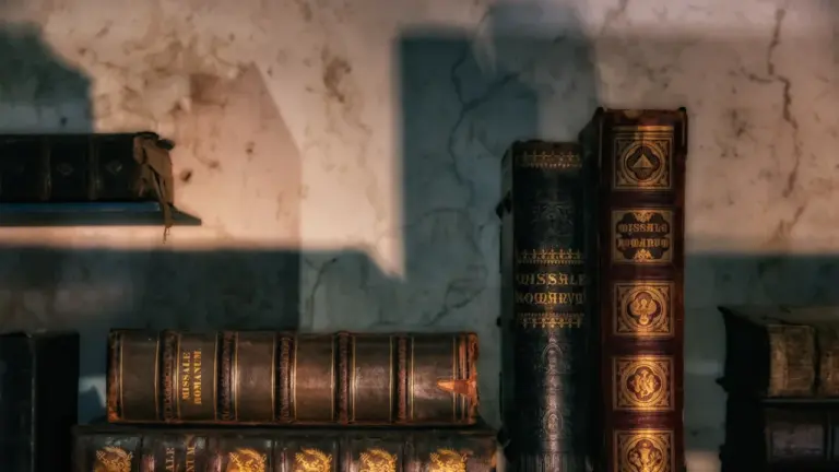Alte, dunkel gebundene Bücher stehen mysteriös in einem Regal in Leverkusen.