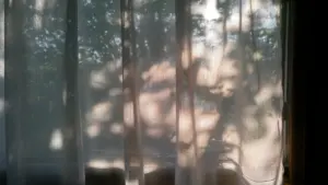 Sanftes Morgenlicht strahlt durch einen weißen Vorhang in einem Wohnraum im Herbst.