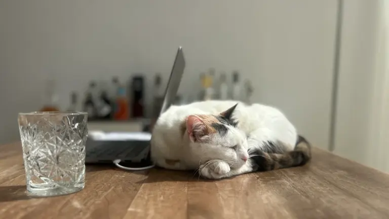 Powernap am Arbeitstag: Richtig kurz schlafen ohne Nachtruhe-Störung