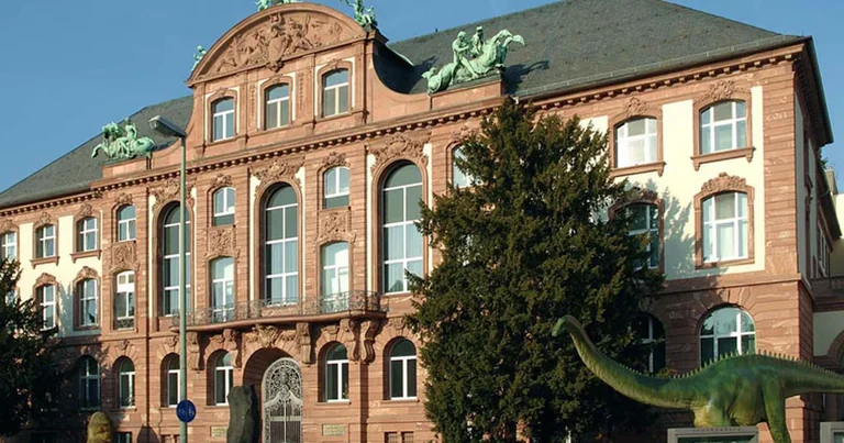 „Secret Service“ in Frankfurt: Frauen der Naturforschung