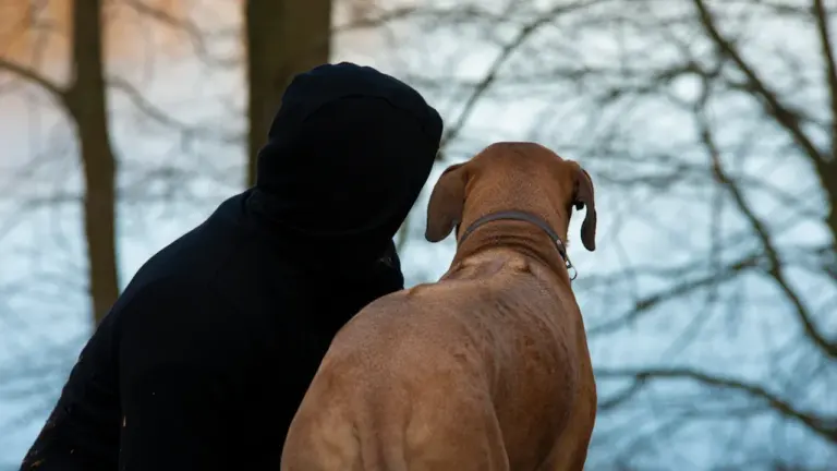 Eine Person und ihr Hund blicken gemeinsam auf einen See in Brandenburg.