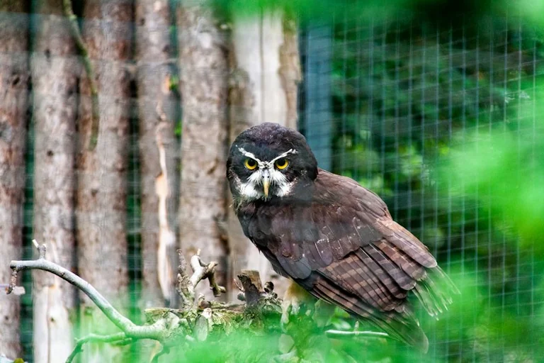 Zoo Dortmund: Bauernhof und Streichelzoo nach Unfall gesperrt