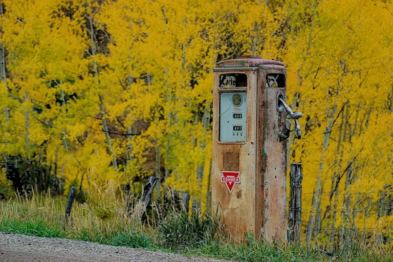 Spritpreise vergleichen: So lohnt sich der Tankstopp auf der Herbstfahrt